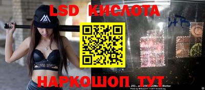 спиды Гай
