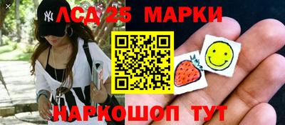 спиды Гай