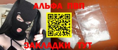 спиды Гай
