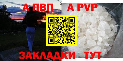 спиды Гай
