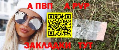 спиды Гай