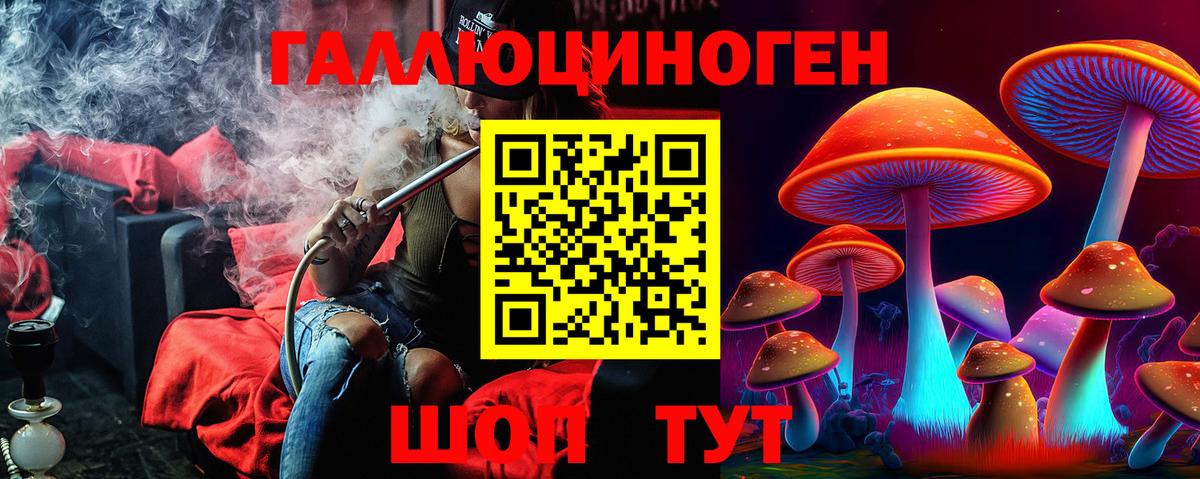 Галлюциногенные грибы прущие грибы  Галлюциногенные грибы мицелий  Вход с VPN  Нарткала 